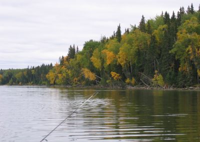 First year Fawcett lake 2007 037