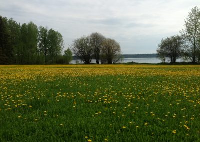 IMG_0132